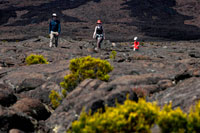One family making a trek over the lava of volcano Piton de la Fournaise. It is the only active volcano on the island. Its eruptions attract thousands of visitors. The lava flows extend up the east coast causing a unique landscape. In the volcano, when not active, you can also hike. There are several marked routes. The access road to the volcano worth it. We cross landscapes full of vegetation adapted to the altitude and humidity conditions (constant mist) that is in this area. You can see several craters and a completely desert called Plaine des Sables at which you reach after crossing the Pas des Sables where it is worth stopping to admire the scenery. Before visiting the volcano I recommend you do a stop in the village of Bourg-Murat where lies the Maison du Volcan, a museum which explains the formation of the island, volcanic activity and major eruptions throughout history Reunion. Project a very interesting visual.