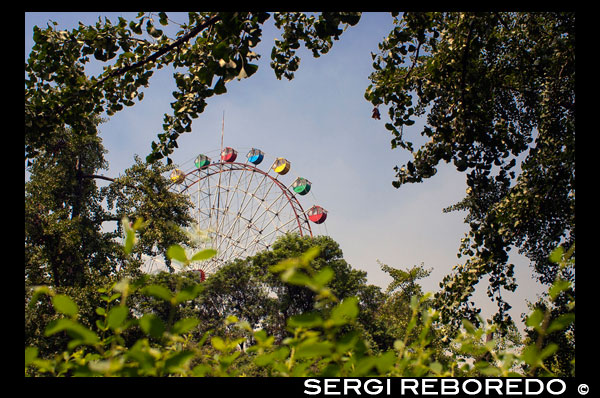 The Big Ferris Wheel at Shanghai Zoo.Shanghai Zoo is the main zoological garden in Changning District in the Chinese city of Shanghai. After half a century of development the Shanghai Zoo has become one of the best ecological gardens in Shanghai. The zoo houses and exhibits more than 6,000 animals, among which are 600 Chinese animals that include the giant panda, golden snub-nosed monkey, South China tiger, hoopoe, black bulbul, scimitar-horned oryx, great hornbills and Bactrian camels. Animals from other parts of the world include, the chimpanzee, giraffe, polar bear, kangaroo, gorilla, ring tailed lemur, common marmoset, spider monkey, african wild dog, olive baboon, mandrill, Canadian lynx and maned wolf. The zoo is constantly developing and improving the animal enclosures in order to provide better environments for the animals and a pleasurable experience for visitors.  The original golf course design has been basically preserved. There are a total of 100,000 trees with nearly 600 species planted in the zoo. The green areas and lawns cover an area of 100,000 square meters. The zoo endeavors to create an ecologically-friendly environment for the animals - the 'Swan Lake' with its natural reed clumps and trees providing shade for pelicans, geese, black swans, night herons and other birds, is a perfect example of this.  The Shanghai Zoo provides areas for amusement and leisure, opportunities for visitors to increase their knowledge of the various animals and combines this with scientific and technical research to help people better understand and protect animals. Since the zoo was established it has been host to over 150,000,000 visitors  The aim of the Shanghai Zoo is to have visitors leave with a better understanding of and appreciation for the animals and their environment