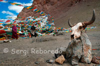 Step Nagenla located 5190 meters from where it descends to the lake located at 4700m.