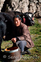 A woman milking a cow in a small settlement of Dopkas (pastoralists). Gyantse. These nomads traveling in these parts like ghosts of a past that mountain ranges surrounding us seem reluctant to let go. The hospitality and joy with which we receive is amazing and as we saw later completely devoid of commercialism that might involve comprehensive food and sharing experiences about Western tourists in exchange for a few yuan (one yuan equals about 0.10 euros ). Not even to say goodbye and despite our insistence, our friendly hosts agreed to receive any money in return for their time, and especially food. Outside the store entertain us first, and as is required with a tea made with yak fat somewhat bitter taste and characteristic odor (even today when I recall the smell of these places you think invading Tibetan environment). The burned skin of our hosts is mute witness to the harsh weather conditions in the herdsmen living in these harsh, nevertheless, cheeks flushed, the colorful headdresses adorning the hair and clothing, the slender but small figure showing the most of them and the serenity with which seem to face his destiny makes them appear very attractive to our eyes.