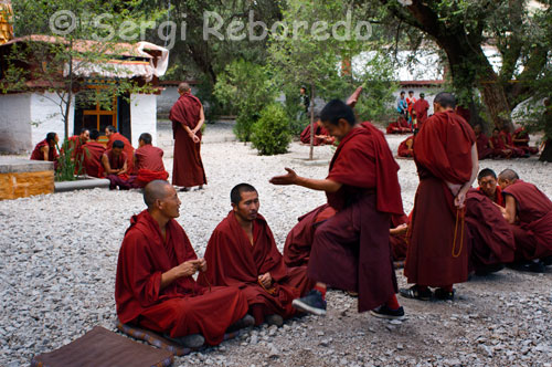 Monjes del templo de Sera. Lhasa. Los monjes del Monasterio de Sera Mey, venidos expresamente de la India, ofrecen al público los cantos y la música que acompañan los rituales tradicionales dentro de los monasterios budistas tibetanos. La intensidad y la profundidad de estos cantos, que a nuestros oídos occidentales nos llegan como una manifestación extraordinaria, es en cambio un hábito cotidiano en la jornada de cada día en el interior de esos monasterios. Oraciones de primera hora de la mañana, oraciones de los atardeceres, pero también cantos dirigidos a los diversos aspectos de la manifestación de los budas, la compasión y el amor universal, la sabiduría, la purificación, la energía, la curación, así como peticiones de larga vida, claridad de pensamiento, entre tantas otras plegarias formuladas con recitaciones de palabras sagradas y mantras. También la especial forma en que es empleada la voz, instrumento al servicio de la manifestación pura, hace de este concierto un recital único. 