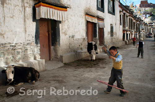 Un niño juega con el hula hoop en las calles del casco antiguo de Gyantse. Hoy día esta Gyantse vive con cierta prosperidad gracias a la afluencia cada vez mayor de turistas y sorprende al viajero con el impresionante Monasterio de Pelkhor Chode y la magnífica fortaleza (o el Dzong) que ubicado sobre una colina domina altiva toda la ciudad. A pesar de que hemos comentado que se trata de una pequeña población no debemos olvidar que Gyantse es la tercera ciudad en importancia del Tibet.