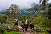 Several horses Cabagan by Cocora Valley. History: COCORA VALLEY. In 1993 given the prospect of a rapid development of the tourism industry and especially the coffee department of Quindio, looking to add a platform of attractions for tourists who come to visit the attractions of the area began to emerge as new tourist destinations, is pensóÂ in launching a new place called "Eco-tourism Complex Cócora Woods Restaurant" located in the Valley where the tree Cócora Nacional de Colombia and 25 minutes from the city of Armenia. Cocora Valley is recognized globally and nationally for its beautiful scenery, its wax palms that are over 60 meters (the highest in the world) and declared the national tree of Colombia. There is the cradle of birth Quindío River and is one of the entrances to the Nevada Natural Park. Mission: The satisfaction of the needs and expectations of customers and innovation by providing quality food service. Among the principles and values that govern the organization permanently seek comprehensive and equitable development of human talent and levels of profitability and productivity that allow a fair return for their owners and society in general Vision: It is expected that by 2010 Cocora forests become major ecotourism destination in the coffee and one of the most important national and international, thanks to the high standards of quality in terms of gastronomy, tourist services and accommodation provided to visitors. Social responsibility: Forest Cócora part of its policy of environmental responsibility, has implemented processes and environmental strategies, which aims to promote the preservation and conservation of the environment, rationally using natural resources for the benefit of future generations . Currently Cócora forests has a program of environmental agenda which consists of: Adoption of a palm wax or a native tree, where people can contribute to the preservation of forests and minimize the impact that man has created from industrial processes.