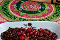 Different coffee beans, before and after roasting in the San Alberto. (Buenavista, Quindio). Café San Alberto, in order to ensure great taste and distinctive, that capitalizes on the best features of terroir, is produced under the requirements of the Fivefold Selection. This process was designed in the San Alberto. It is a manual process where each grain to be used for the preparation of roasted St. Albert goes through five stages of selection. Thus guarantees unbeatable tasting coffee, distinctive and consistent. Step 1: Collect ripe fruit at its ripest. Step 2: Manual selection and disposal of green fruits, overripe and defective. Step 3: Manual selection of healthy almonds and top quality for drying Step 4: Select green beans according to size Step 5: Selecting the best lot by trial cup, in which the coffee taster test to ensure that indeed the lot will be roasted faithful representation of the characteristics and attributes of the Café San Alberto. The thermal regime, governed by the altitude in Colombia associated with mountains rising over 5,000 meters high, allows the average temperature where coffee is grown in a favorable range vary from 18 ° to 24 ° C. Under these temperatures makes feasible the cultivation of coffee and prevents the occurrence of frost. Therefore, in the Colombian Coffee Region, temperatures are within the optimal range for growth of coffee, without actually experiencing extreme values (very hot or cold) to stop normal development functions. The contrasts in temperature during the day and temperature throughout the year also favor the generation of sugars and other compounds in coffee beans that develop during industrialization, valued attributes such as acidity and a balanced body.
