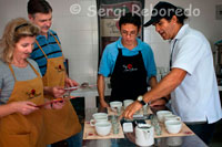 Tasting coffee in the San Alberto. (Buenavista, Quindio). Cupping in the session are tasted several coffees following the industry standard methodology. In addition, learn about the fascinating world of coffee. You can enjoy in Bogota or directly at Hacienda San Alberto for about 50 euros per person. The soil where coffee is produced in Colombia vary from rocky to sandy to clay reliefs from flat or slightly undulating to steep, with marked differences regarding the origin of the soils of most of the other coffee producing countries. In the Colombian Coffee Zone on the three Andean ranges: eastern, central and western soils are igneous, metamorphic, sedimentary and volcanic ash. The main feature of the soils of the Colombian Coffee Zone is that most are derived from volcanic ash, which have a high organic content and good physical characteristics, reducing the need for fertilization. The existence of these soils provides optimum conditions for growing coffee since their structure enables the organic material decomposes slowly, making possible a good aeration of the root system of coffee plants, and therefore, an adequate supply of nutrients in the soil. That is another common characteristic of these soils favor the cultivation of coffee, is that they are low acid and retain moisture. Regarding fertility, the soils of the Colombian Coffee Region, unlike other coffee producing countries like Brazil, do not require the application of minor elements such as zinc or boron, to maintain fertility. This high fertility is due to the high content of organic material, such volcanic soils.