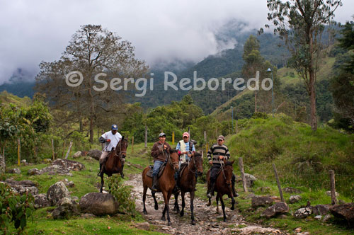 Diversos cavalls cabagan per la Vall de Cocora. Història: VALL DEL Cocora. El 1993 donada la perspectiva d'un desenvolupament vertiginós del sector turístic de l'eix cafeter i especialment del departament del Quindío, buscant indicar una plataforma d'atraccions per al turista que arribaria a visitar els atractius de la zona que van començar a sorgir com noves destinacions turístiques, es pensóÂ en el llançament d'un nou lloc anomenat "Complex Eco turístic Restaurant Boscos de Cocora" situat a la Vall de Cocora on creix l'arbre Nacional de Colòmbia a 25 minuts de la ciutat d'Armènia. La Vall del Cocora és reconegut a nivell mundial i nacional pel seu bonic escenari, pels seus palmells de Cera que mesuren més 60 metres (les més altes del món) i declarades l'arbre Nacional de Colòmbia. Allà és el bressol del naixement del Riu Quindío i és una de les entrades al Parc Natural dels Nevats. Missió: La satisfacció plena de les necessitats i expectatives dels clients mitjançant la prestació i innovació de serveis gastronòmics de qualitat. Dins dels principis i valors que regeixen l'organització busqués permanentment el desenvolupament integral i equitatiu del seu talent humà i uns nivells de rendibilitat i productivitat que permetin la retribució justa als seus amos ia la societat en general Visió: S'espera que per al'any 2010 Boscos de Cocora esdevingui principal destí ecoturístic de l'eix cafeter i un dels més importants a nivell nacional i internacional, gràcies als alts estàndards de qualitat pel que fa a gastronomia, serveis turístics i d'allotjament prestats al visitant. Responsabilitat social: Boscos de Cocora dins la seva política de responsabilitat ambiental, ha implementat uns processos i estratègies ambientals, les quals té com a propòsit promoure la preservació i conservació del medi ambient, utilitzant de manera racional els recursos naturals, en benefici de les futures generacions . Actualment boscos de Cocora compta amb un programa d'agenda ambiental el qual consisteix en: L'adopció d'un palmell de cera o un arbre nadiu, on les persones podran contribuir a la preservació dels Boscos i minimitzar l'impacte que ha generat l'home a partir dels processos industrials.