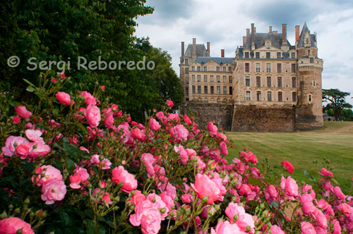 Castle Gardens. Brissac Castle is the highest in France. Located strategically on the banks of the Maine and Loire short distance from hosting large numbers of religious orders who are missionaries all over the world.