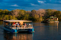 Cruise along the Victoria Falls aboard the " African Queen".  Other boats sailing in the Zambezi River. Victoria Falls is famous for its sunset booze cruises and this is a “must do” experience. But you don’t have to be an alcohol drinker to enjoy the experience of being on Southern Africa’s largest river. You are certain to see hippo and crocs and possibly elephant during the excursions, which last about two hours on average. During the dry season, elephants often swim to the islands to feed and there are a couple of pachyderms that have taken up full-time residence on the island of Kalunda opposite the jetty on the Zimbabwean side of the river. Generally, tour operators arrange for you to be picked up from the hotel, lodge or B&B, and driven to one of the many launch sites along the western bank of the Zambezi. 