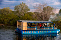 Cruise along the Victoria Falls aboard the " African Queen".  Other boats sailing in the Zambezi River. The sunset cruises vary in boat size – from essentially private boats that take 8 to 10 people to large party boats that can take 120 or more. When booking, ask the name of the boat and its size if you have a specific group size in mind or want a larger or smaller boat experience. Also, some boats are more luxurious than others – although some of the older, more rustic boats have their own charm. The experience varies tremendously according to the number of people and who you are sharing the sundowner cruise with, and every boat has its own unique character. The cruise begins with a safety briefing shortly after launching and then, typically, journeys up river towards the Zambezi National Park. There are plenty of crocodiles and hippos to be seen and the bird life is quite spectacular. Watch for elephants along the banks or, if you are extremely lucky, elephants swimming or snorkelling across the river. The boats usually turn back down river and continue for several kilometres towards Palm Island – often meandering in and out of the islands and channels. 