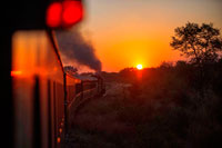 Sunset in the Royal Livingstone Express luxury train. The Steam Locomotive, 156 is a 10th Class originally belonging to the Zambezi Sawmills Limited. It was used on the Mulobezi Line to pull logging carriages from the forests in Mulobezi to the railhead in Livingstone. David Shepherd, renowned wildlife artist, rescued the locomotive and partially renovated it, to its previous grandeur. He then donated it to National Heritage and Bushtracks has subsequently restored the locomotive to working order.  Bushtracks spent three years searching for carriages in order to operate this excursion. Rohan Vos of Rovos Rail South Africa, reputed to be 'the most luxurious train in the world', found five carriages which were purchased in December 2006. Rovos Rail also agreed to renovate the carriages to their former glory and work began on the 3rd January 2007. 