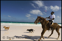 Horse riding by the "Pink Sand Beach". Dunmore Town - Harbor Island - Eleuthera.
