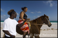 Horse riding by the "Pink Sand Beach". Dunmore Town - Harbor Island - Eleuthera. Bahamas
