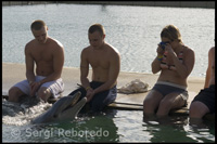 UNEX. Program "Meet the Dolphin" - Sanctuary Bay - Grand Bahama. Bahamas