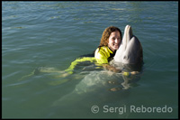 Program of "Swim with dolphins" - Sanctuary Bay - Grand Bahama. Cristina Silvente