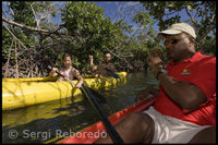 Exploring the National Park Kayak at Lucaya - Grand Bahama. Kayak in Bahamas