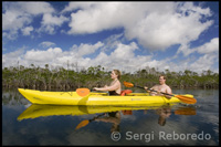 Exploring the National Park Kayak at Lucaya - Grand Bahama. Yellow kayak in The Bahamas