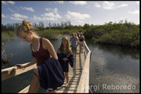 Girls in Path to mangroves - National Park Lucaya - Grand Bahama.