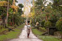 A typical street of the village close to the sanctuary Tampaksiring Gunung Kawi. Ubud. Bali.