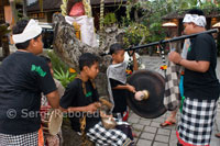 Several young people play music through the streets of Ubud during the Galungan. Galungan festival, the largest in Bali, symbolizes the victory of Drama (virtue) on Adharma (bad). During day-long celebrations Balinese parade through the whole island adorned with long bamboo sticks (Penjor) decorated with ears of corn, coconut, rice cakes and pastries as well as white or yellow cloth, fruits, flowers. This festival is celebrated every 210 days. Ubud. Bali
