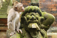 The monkeys are having fun on the stone statues of the Hindu Holy Book Forest Monkeys. Ubud. Bali.
