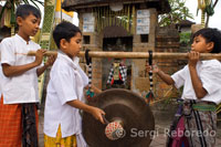 Several young people play music through the streets of Ubud during the Galungan. Galungan festival, the largest in Bali, symbolizes the victory of Drama (virtue) on Adharma (bad). During day-long celebrations Balinese parade through the whole island adorned with long bamboo sticks (Penjor) decorated with ears of corn, coconut, rice cakes and pastries as well as white or yellow cloth, fruits, flowers. This festival is celebrated every 210 days. Ubud. Bali.