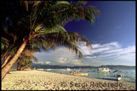 Palms on the white sand. White sand beach. White beach. Boracay. 