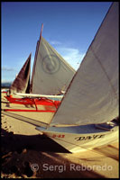Boats painted in bright colors for the practice of sailing. White beach. Boracay.