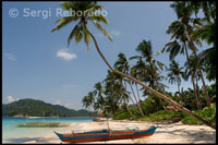 Palm trees and turquoise waters in the Philippines. Several boats in the Moorings of the island of white sand Pangulasian. Palawan.