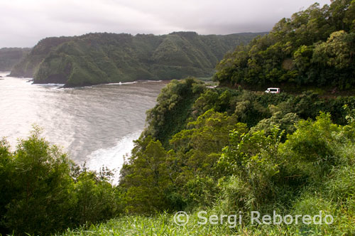 Cliffs on the Hana Highway. Maui. The body boards One of the advantages of body boards is that they are smaller and lighter than surfboards, which makes the risk of injury on the part of the table is reduced. They can be easily transported in a car or even on public transport. If also has a backpack cover, you can walk and bike comfortably with your table. The body boards are available, the average price of a table for beginners ranging from USD 20 to USD 80. In Hawaii can be obtained at local surf and supermarkets. Origins of standing surf Surfing originated in the early twentieth century. Duke Kahanamoku, the father of surfing, is responsible for the revival of the sport in Hawaii, after it was banned by the missionaries, who thought that surfing was immoral, hedonistic and meant a waste of time. But long before the walk began surfing, Polynesians glided through the waves lying on their boards, which they called Paipos and were less than 1.20 m long. The inventor of the modern bodyboard bodyboard The, as we know it today, was invented by a Californian named Tom Morey in 1971, while he was on the island of Hawaii. Morey put trademarked the name Morey Boogie in 1973. In 1977, produced about 80,000 Morey Boogie Boards per year.