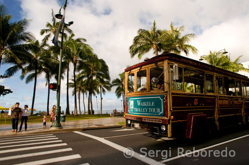 Waikiki Trolly, tourist bus that runs between Waikiki and Honolulu. O'ahu. How to Apply for Marriage License (Courtesy of the Hawaii Department of Health) • The couple must go to request a marriage license. Third parties will not be accepted or delegates. • The couple must be prepared to provide the necessary proof of age and present any written request. • All documents must be obtained before, before going to apply for a marriage license. • The couple must prepare the necessary paperwork in person with the marriage license agent. Applications must be provided by the legal representative or downloaded from the website of Hawaii Department of Health. The application will not be accepted if sent by mail or e-mail. • The marriage license is decreed upon request. • The marriage license costs $ 60.00 and is payable in cash upon request. • The marriage license is valid throughout the state of Hawaii • The marriage license expires 30 days after being requested, after that time, no value. • If not married during those 30 days, return the license in the envelope that has been provided to you by annulment.