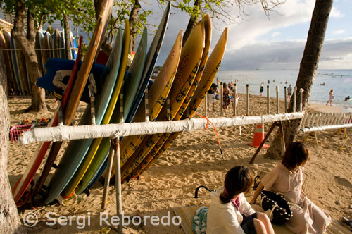 Surfboards on the beach at Waikiki Beach. O'ahu. Marriage License in Hawaii The happy couple must acquire a state license to legalize the union, this is achieved for a small fee. It is advisable to start the process to license one month prior to the date on which to perform the ceremony. As soon as the license is issued, the ceremony can take place. You need to have your birth certificate, and other testing or identification documents, tax information and any other important documents. If you or your partner were previously married, this documentation will also be required. You will sign the document in the presence of a witness, the official license will arrive by mail, and so, the magistrate signed the documents on the day of the wedding. Find out more at the website of the State of Hawaii: How to apply for a marriage license in Hawaii Marriage Certificate Once the ceremony is performed, a marriage certificate must be signed so that the union's official. Your pastor or magistrate will prepare the document and file the signed certificate with the Department of Health. The newlyweds will receive a copy of the certificate. Justice of the Peace You should choose a person who is licensed in the state of Hawaii to perform your ceremony. For more information on obtaining a judge for his wedding, visit the website of tourists from Hawaii: www.hvcb.org.