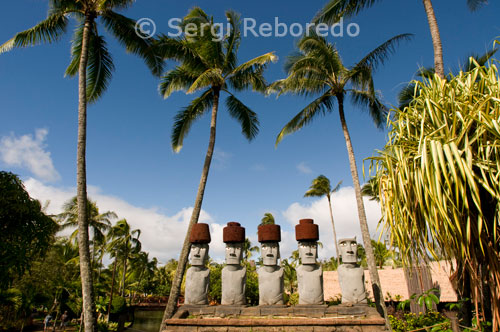 Rapa Nui Moai. Estatuas de piedra. Polynesian Cultural Center. O’ahu. Hawaii ostenta once de las trece zonas climáticas que existen en el mundo entero, cada una de ellas con un ecosistema único y características climáticas determinadas. Factores como la altura, variaciones de presión, lluvias, vientos y topografía se combinan para crear las más peculiares locaciones a lo largo de las islas. Los climas que se pueden encontrar en las islas hawaianas incluyen las zonas húmedas tropicales, (desde el nivel del mar hasta 137m (450 pies)), las zonas áridas y semi-áridas (las partes más cálidas de las islas), las zonas templadas (por encima de los 400 y 500m (1.300 y 1.500 pies)) y las zonas alpinas (zonas frías a 3.200m (10.500 pies)). Asegúrese de estar preparado para las temperaturas frías si va a escalar alguna montaña o volcán. Generalmente, la temperatura disminuye 3.5 grados Fahrenheit cada 305m (1000 pies). Cada una de las islas hawaianas alberga los cuatro climas más importantes: desierto, selva tropical, tundra y zonas templadas; no importa cual de las islas elija, usted va a tener la oportunidad de vivir la maravillosa diversidad natural en cualquiera de ellas.