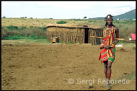 One of the main features that always defined profiles culturalesde the Maasai , differentiating them from other cultures in the region, has been his deep contempt for agriculture, considering it an unworthy and impure activity for a stocking aristocracy as they are, also radically rejecting the products of the land cultivated as a food source . The Maasai live forever rooted exclusively to their cattle , arriving to establish a loving relationship with him in which man may feel more affection for his oxen to his wife. It is a significant fact that in the Maa language men and oxen are designated in the same way . So cattle is for them, a unified manner , the most representative symbol of wealth and power. When the Masai came in relation to other cultures of the geographical environment and knew their ways of life they considered inferior , reaching the absolute conviction that they were a superior race.