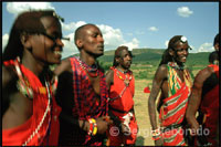 The Maasai live in villages consisting of circular huts of mud and straw and surrounded by a fence of branches to keep out predators. The town has many entries as component families.