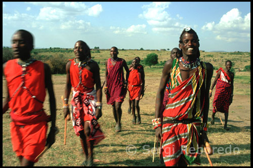 Rites and celebration dances Masai. The Maasai adorn your body using exaggerated eye-catching necklaces, bracelets and earrings. Apart from the fabrics that cover the body, his clothes only include sandals, curves that are made by them with rubber wheels car (the same sandals inspired popular and overpriced, MBT). In addition, the Masai are adorned with colorful necklaces and often lengthen her earlobes for earrings hang heavy. The Maasai society is organized into male age groups. The social position of a man is measured in number of animals and children. They have no chiefs, although a spiritual leader. They believe in a god who dwells in all things, good and bad.