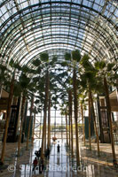 World Financial Center. In the past was connected to the World Trade Center by a bridge. It houses about four office towers and a shopping area with shops and restaurants, also called Winter Garden lobby decorated with 16 palm trees. Both outside and inside it hosts many performances of music, dance and theater.