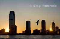 Sunset views of the Hudson River from Battery Park. A seagull just fish and the sun shines while hiding in one of the skyscrapers of Jersey.